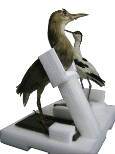 conditionnement d'oiseaux